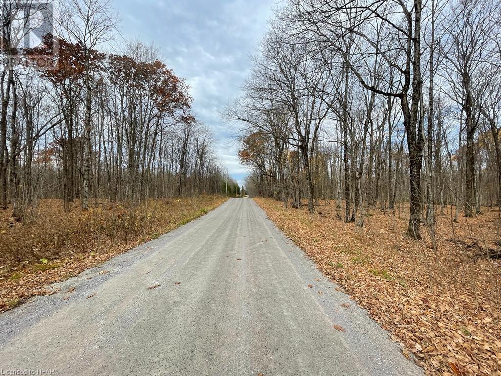 Listing 40341080 - Large Photo # 9