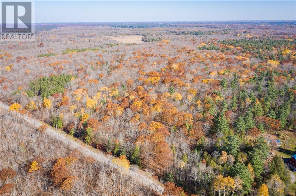 Listing 40341080 - Large Photo # 3