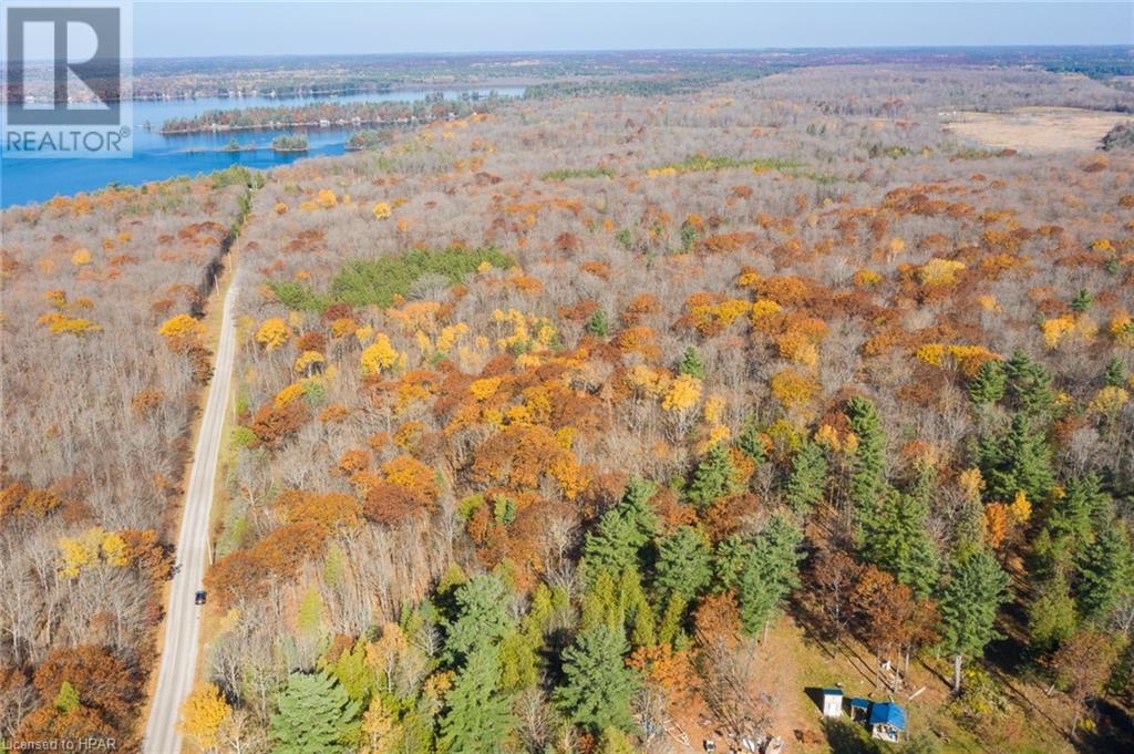 Listing 40341080 - Large Photo # 5