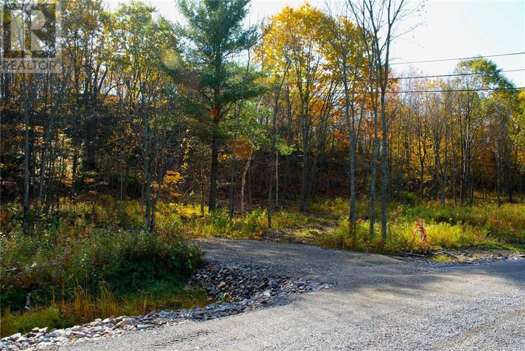Listing 40341848 - Large Photo # 4