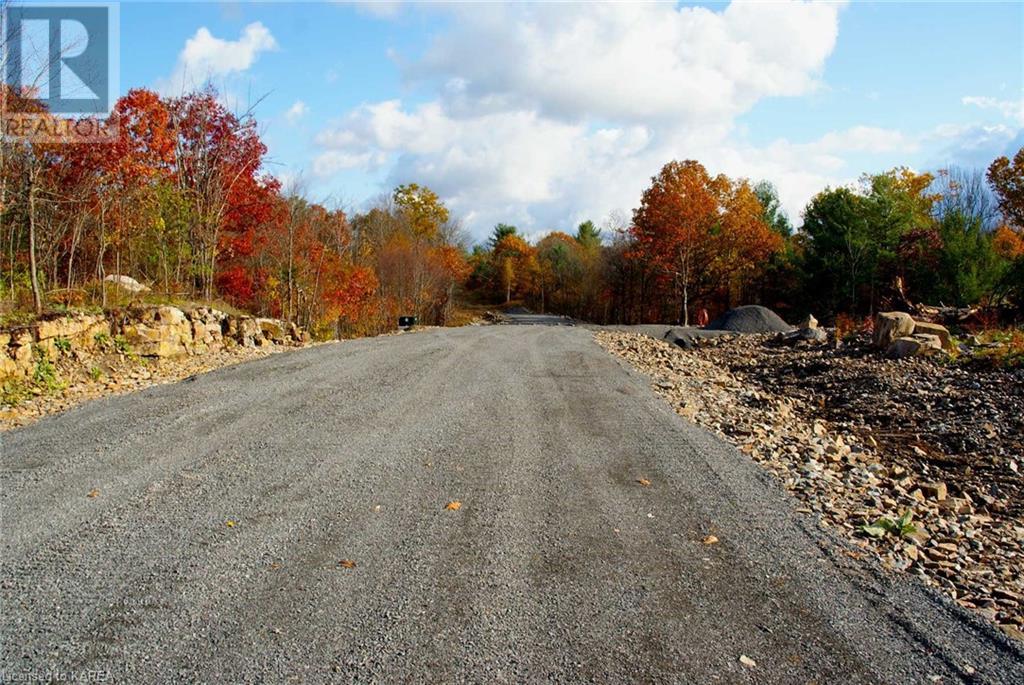 Listing 40341848 - Large Photo # 7