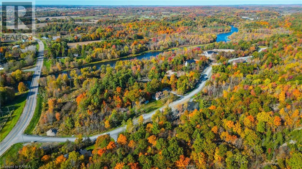 Listing 40341848 - Large Photo # 9