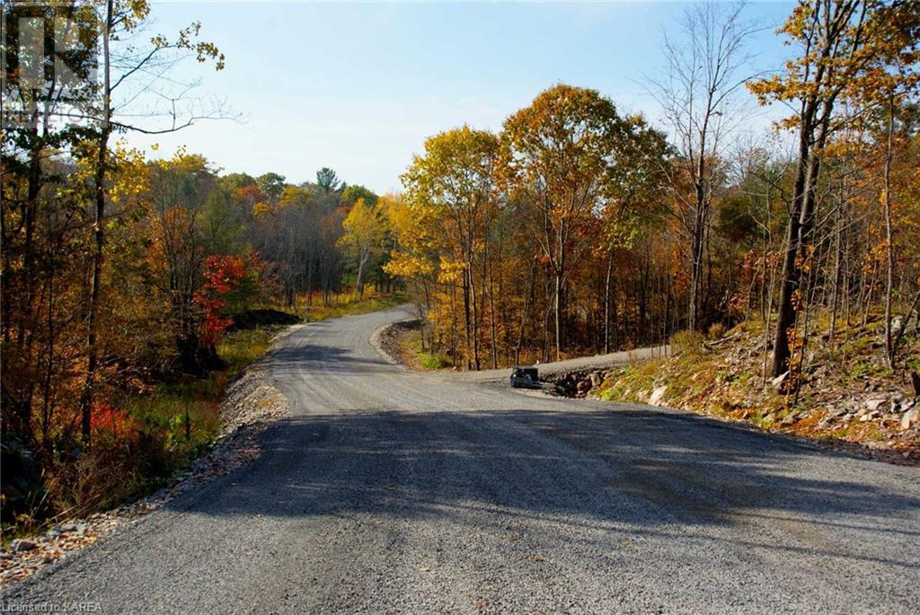 Listing 40341848 - Large Photo # 6