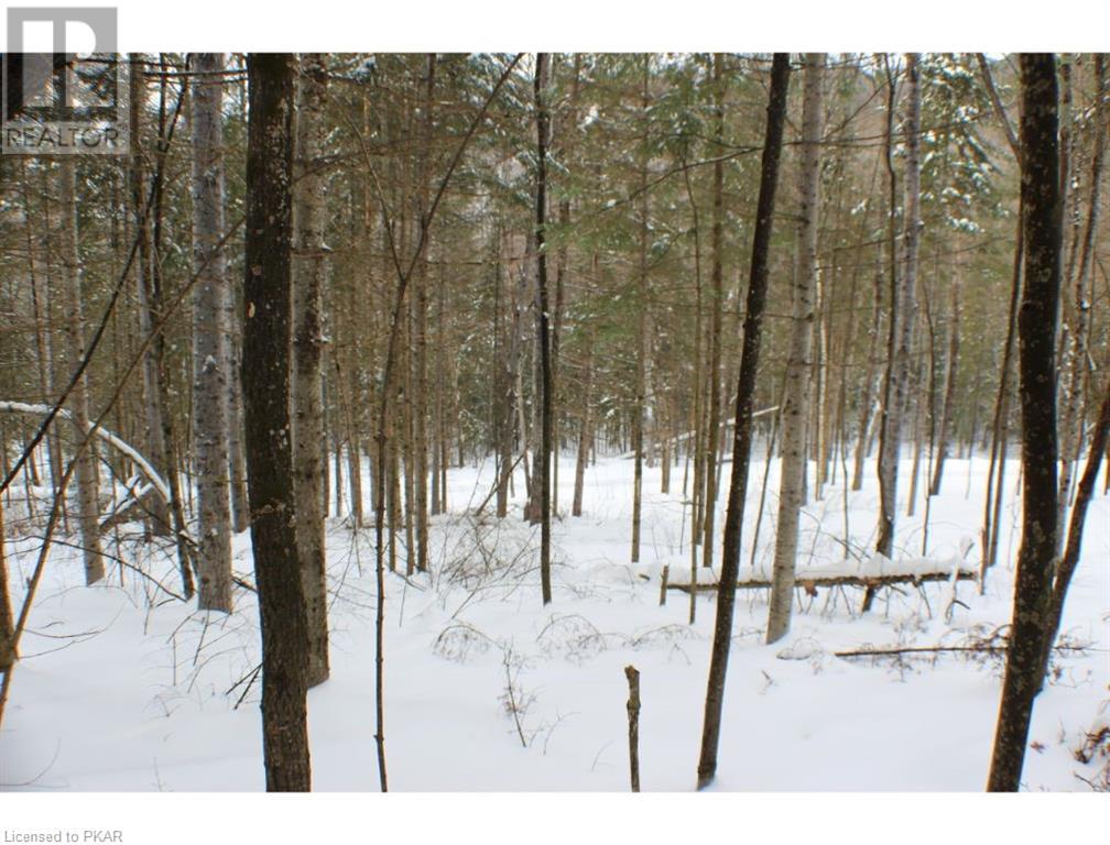 Listing 40342009 - Large Photo # 11