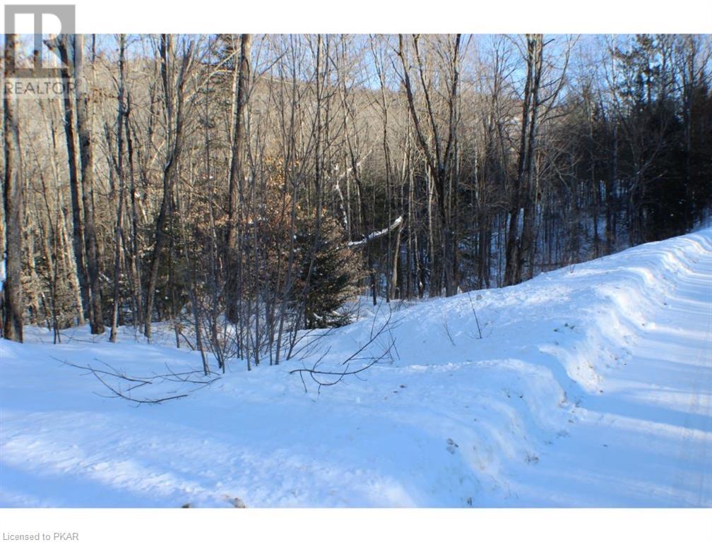 Listing 40342009 - Large Photo # 13