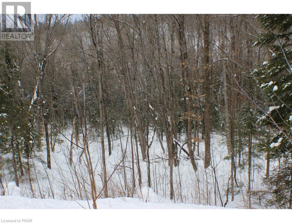 Listing 40342009 - Large Photo # 7