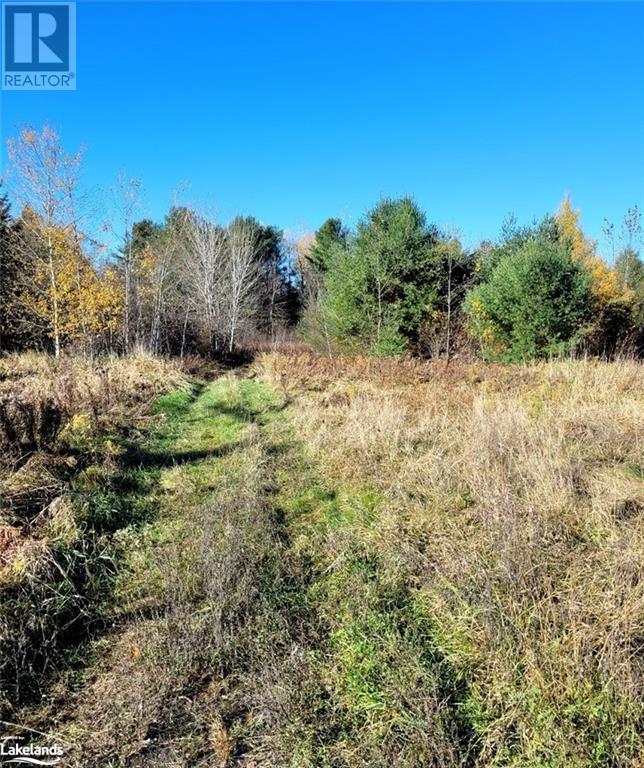Listing 40342421 - Large Photo # 7