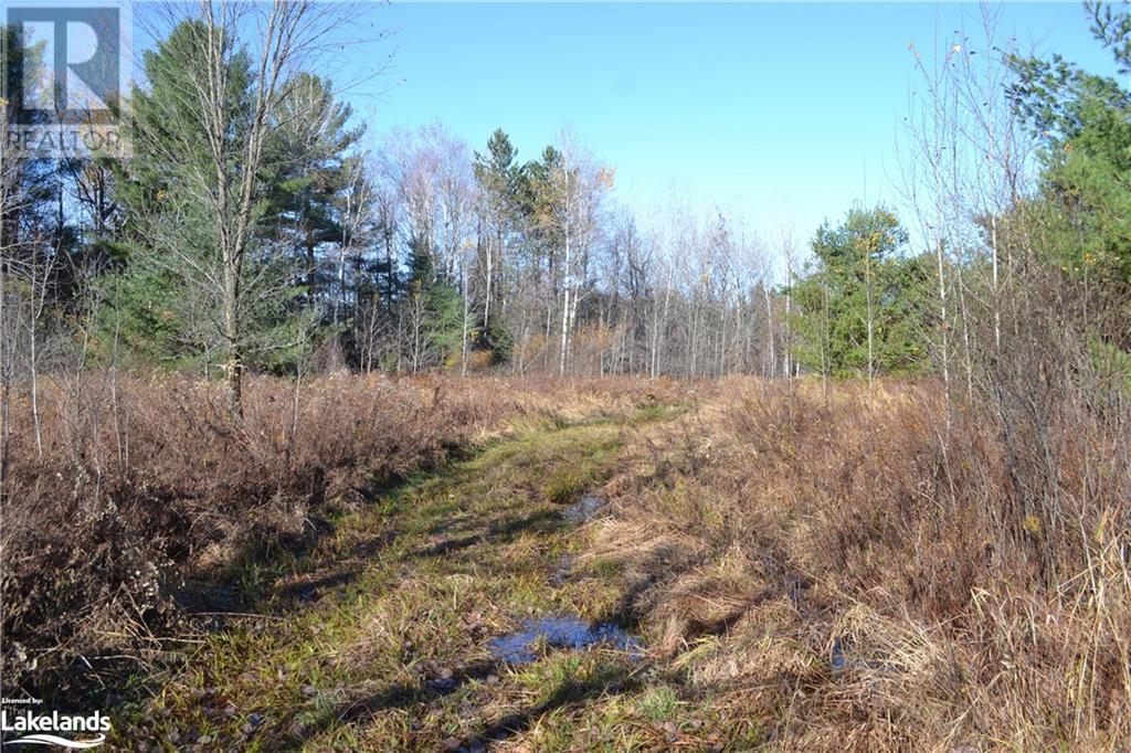 Listing 40342421 - Large Photo # 6