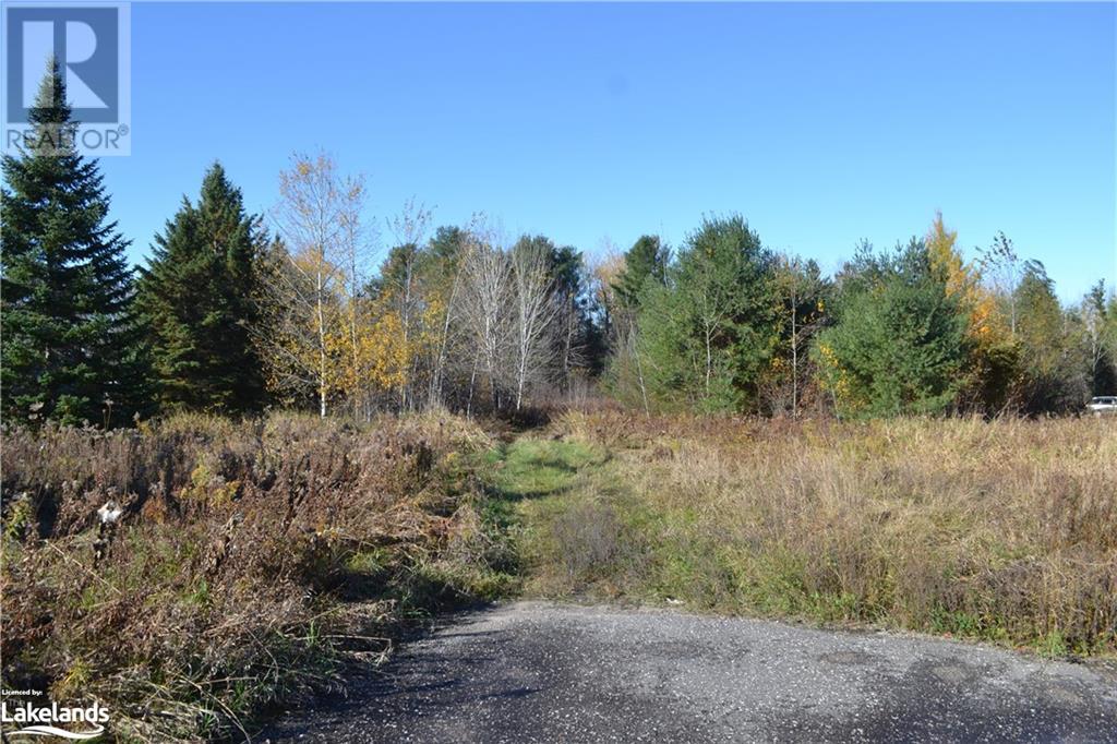 Listing 40342421 - Large Photo # 4