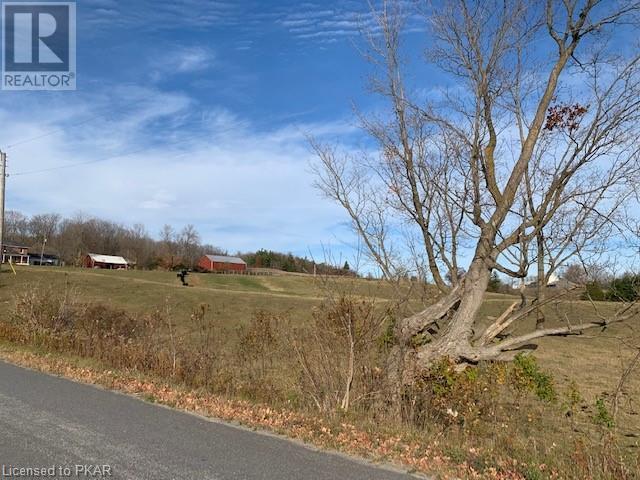 Listing 40343150 - Large Photo # 20