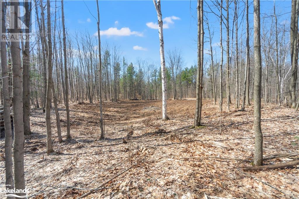 Listing 40343283 - Large Photo # 22