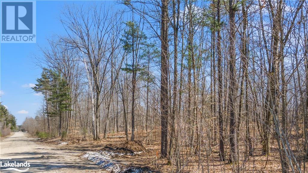 Listing 40343283 - Large Photo # 20