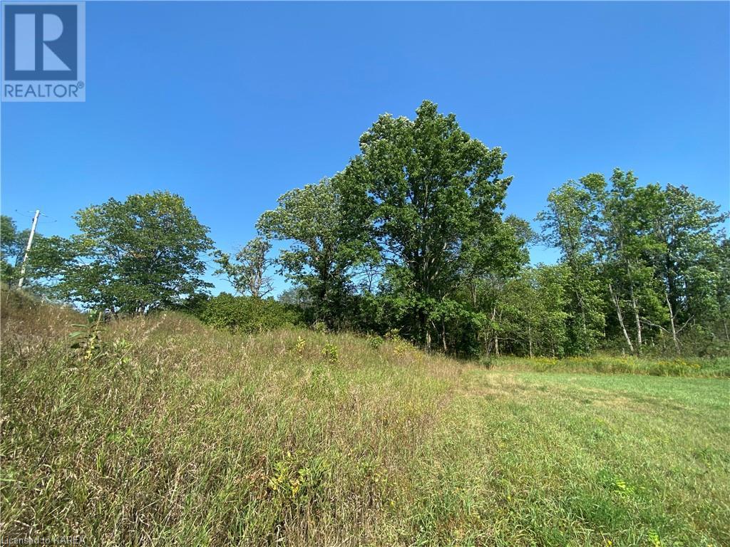 Listing 40344021 - Large Photo # 4