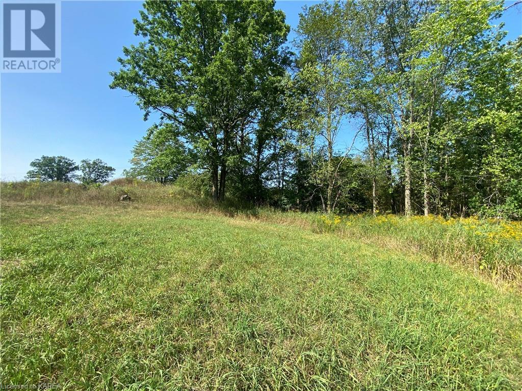 Listing 40344021 - Large Photo # 7