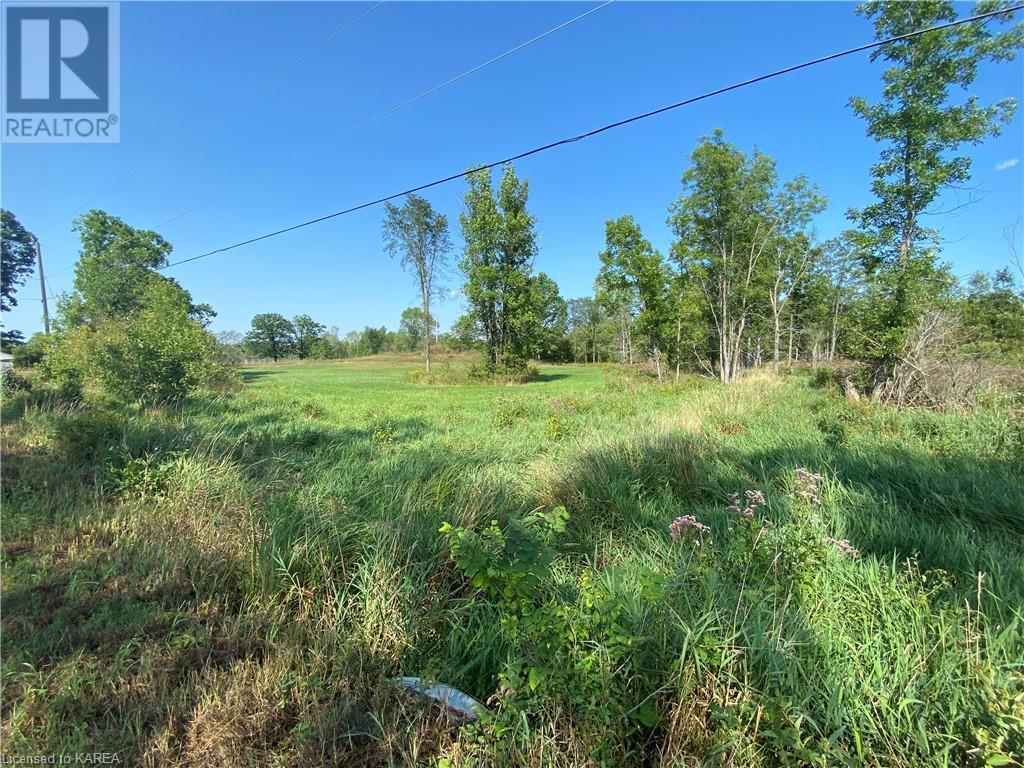 Listing 40344021 - Large Photo # 12