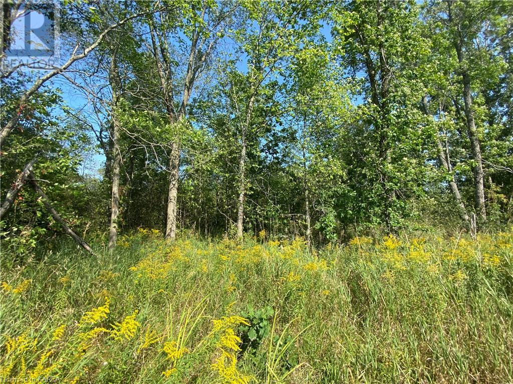 Listing 40344021 - Large Photo # 8