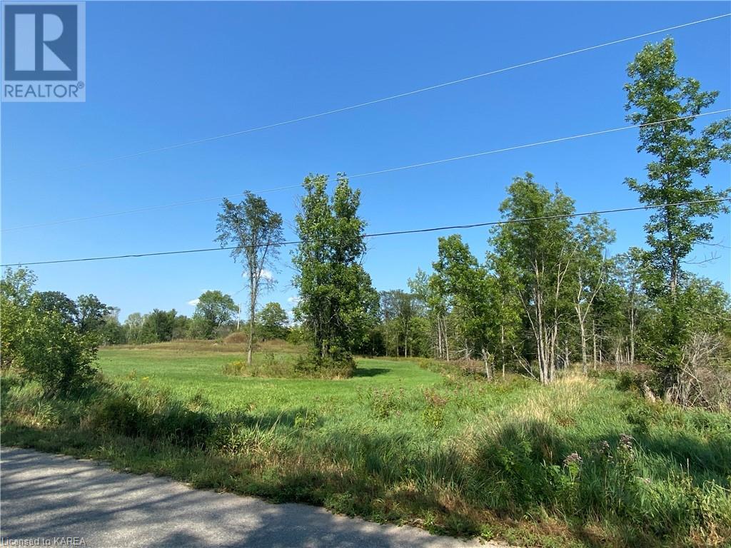 Listing 40344021 - Large Photo # 11
