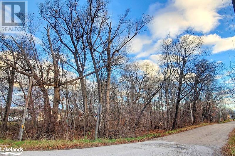 Listing 40344023 - Large Photo # 5
