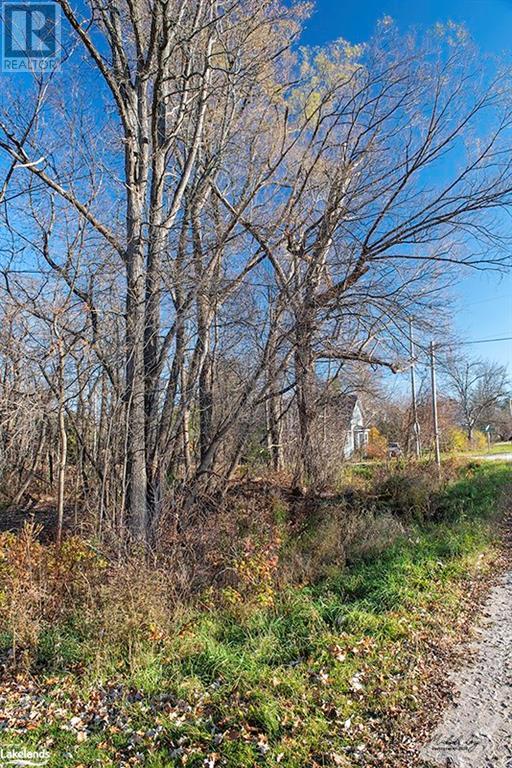 Listing 40344023 - Large Photo # 12
