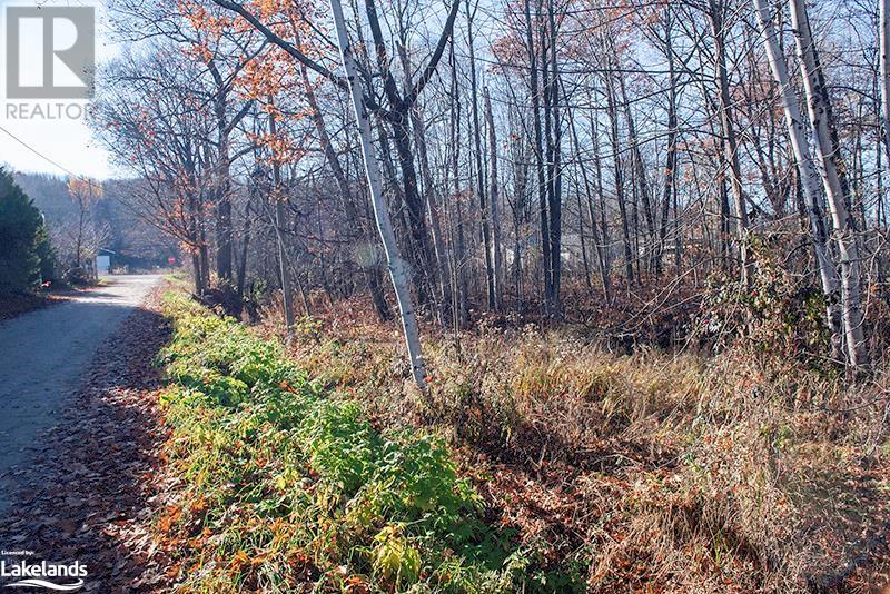 Listing 40344023 - Large Photo # 11