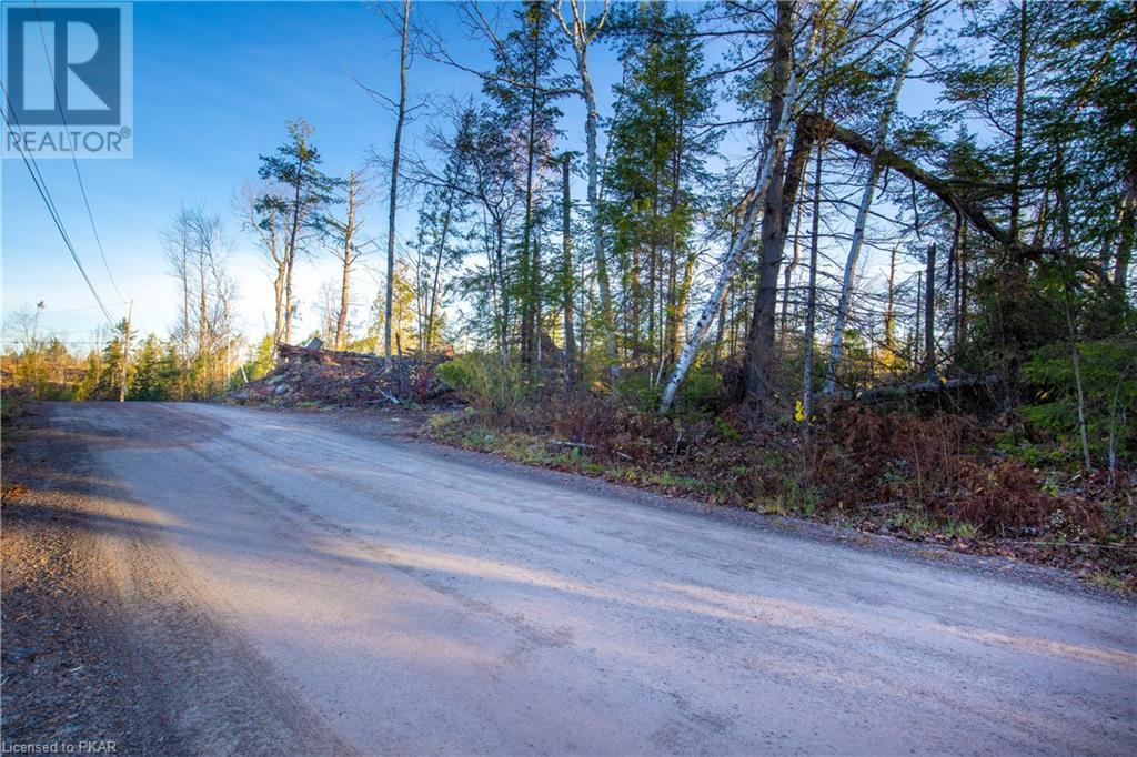Listing 40344577 - Large Photo # 4