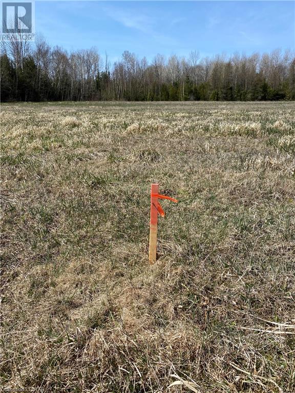 Listing 40344858 - Large Photo # 9