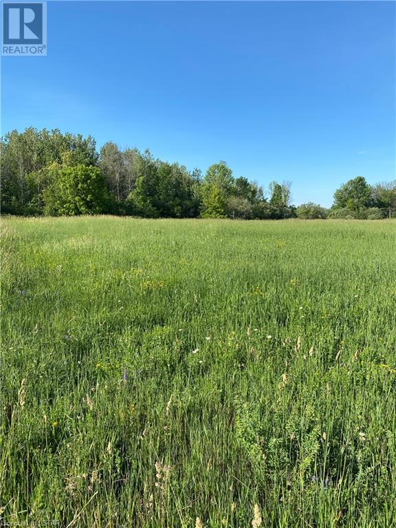 Listing 40344858 - Large Photo # 8