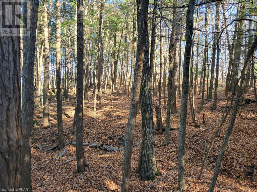 Listing 40344933 - Large Photo # 4