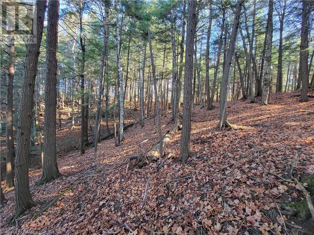 Listing 40344933 - Large Photo # 7