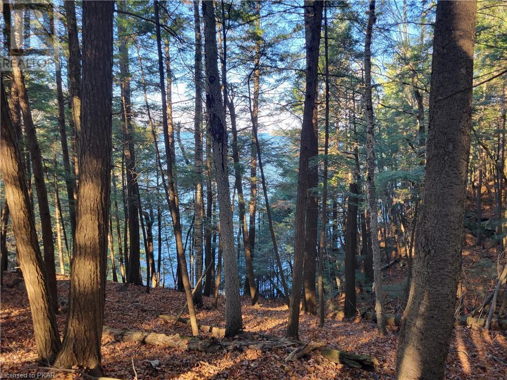 Listing 40344933 - Large Photo # 10