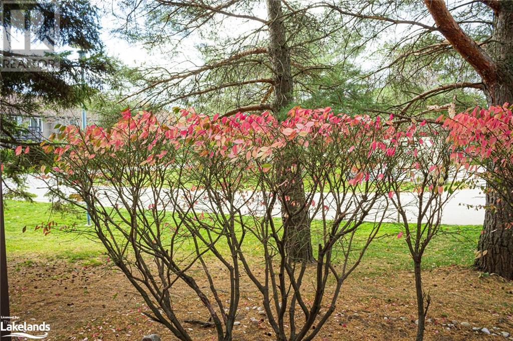 Listing 40346203 - Large Photo # 20