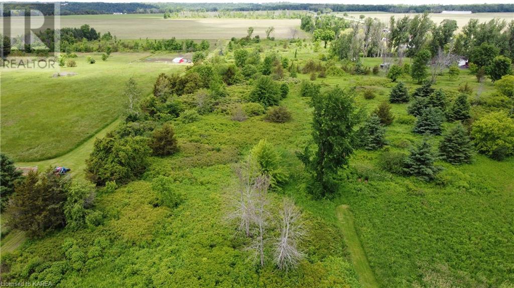 Listing 40346337 - Large Photo # 8