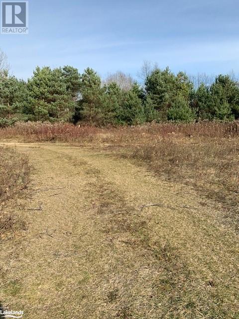 Listing 40346432 - Large Photo # 3