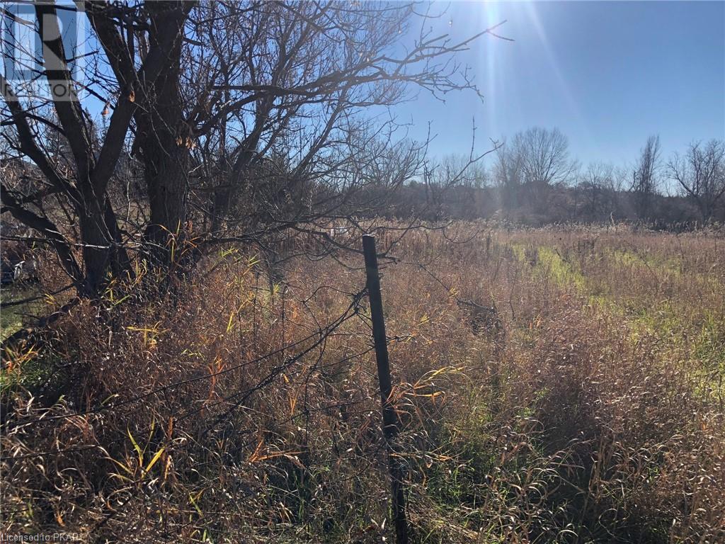 Listing 40348016 - Large Photo # 1