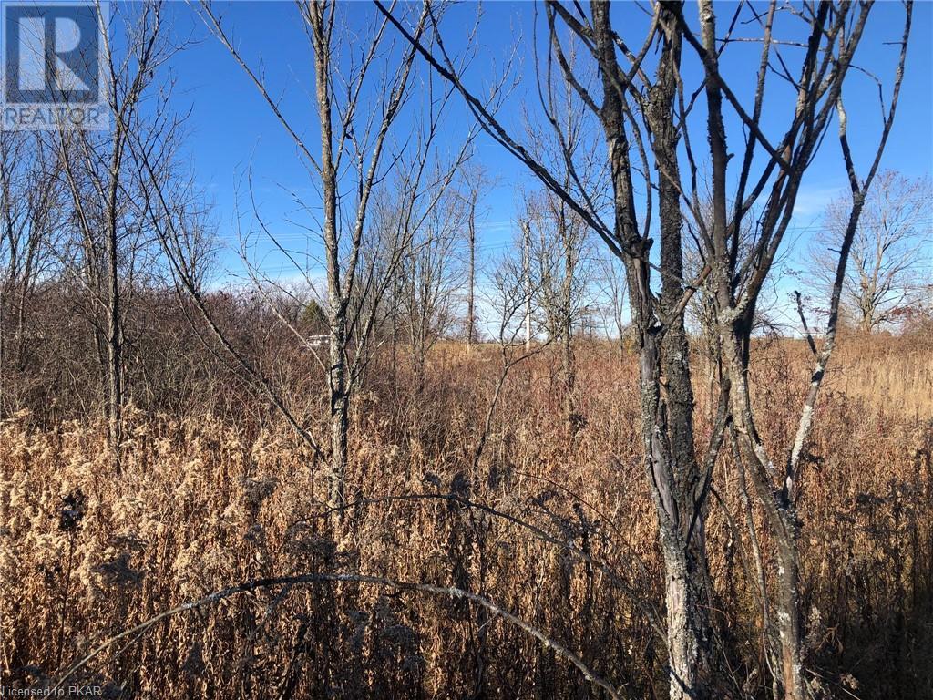 Listing 40348016 - Large Photo # 2