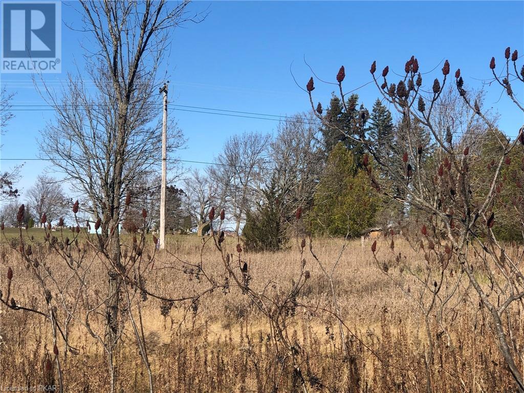 Listing 40348016 - Large Photo # 12