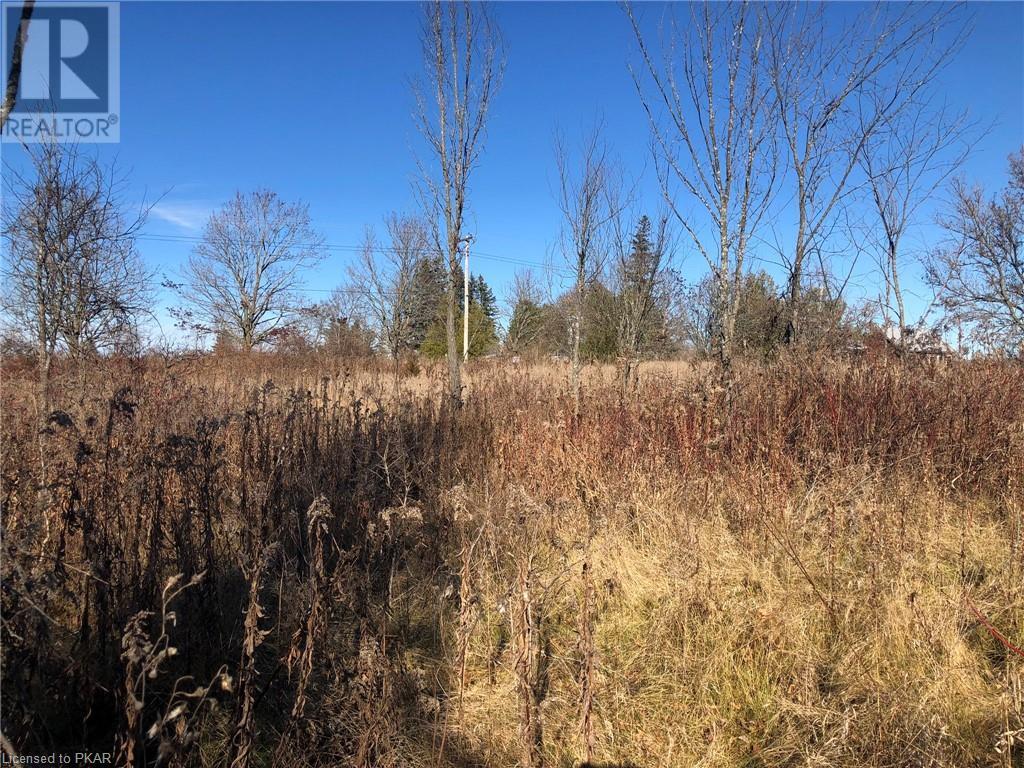 Listing 40348016 - Large Photo # 3