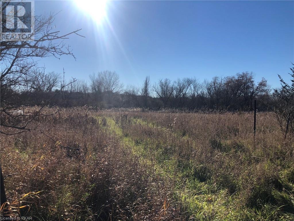 Listing 40348016 - Large Photo # 10