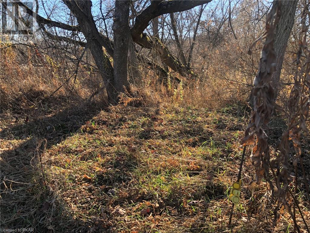 Listing 40348016 - Large Photo # 4