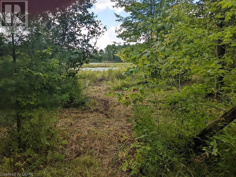 Listing 40348308 - Large Photo # 11