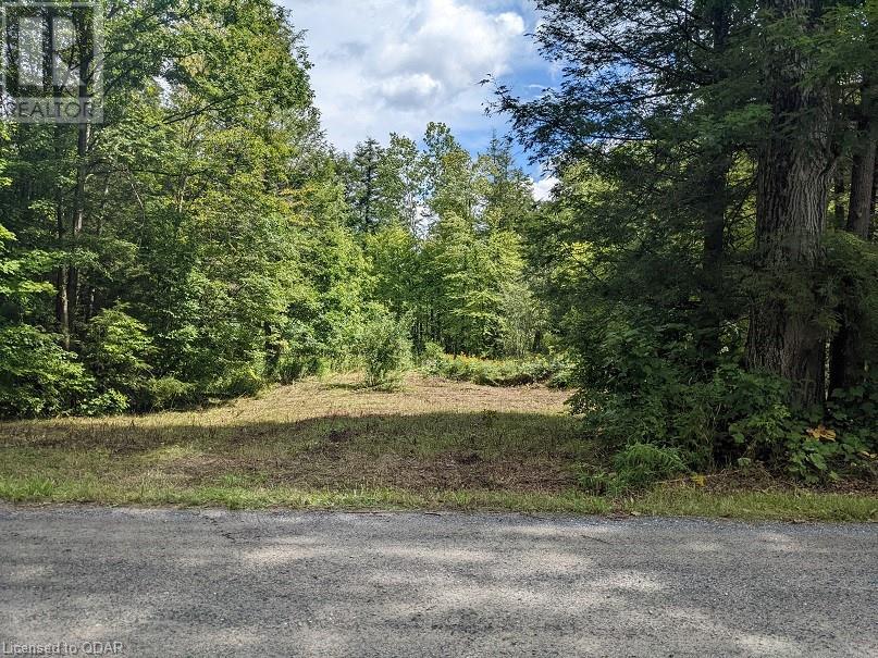 Listing 40348308 - Large Photo # 1