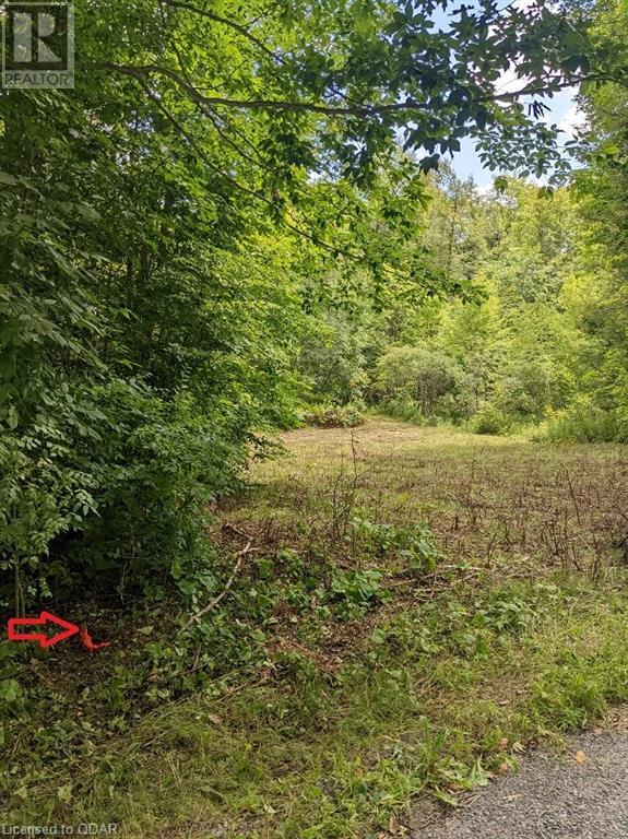 Listing 40348308 - Large Photo # 2