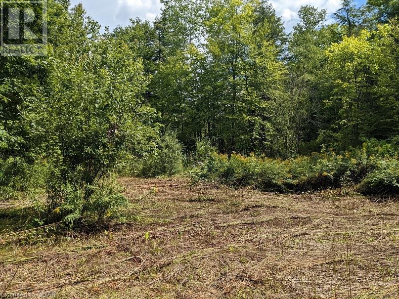 Listing 40348308 - Large Photo # 6