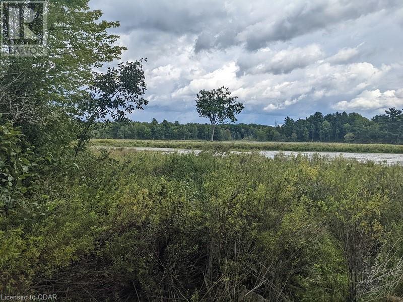 Listing 40348308 - Large Photo # 13