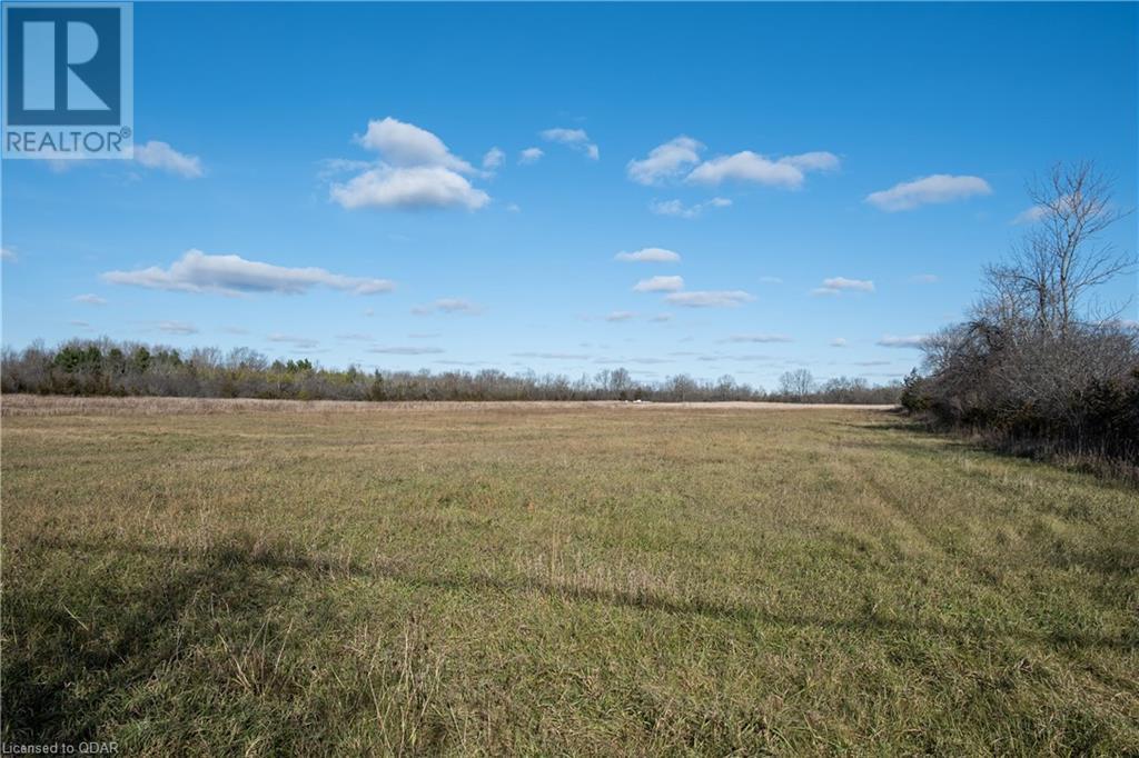 Listing 40349645 - Large Photo # 46