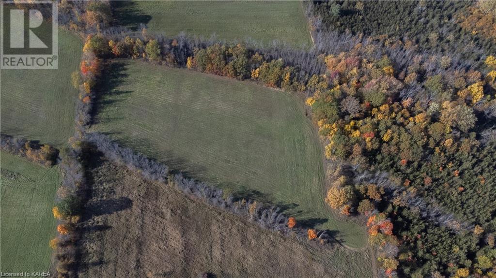 Listing 40350147 - Large Photo # 6