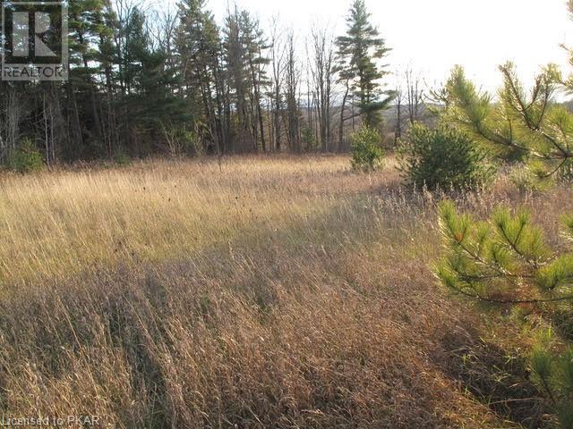 Listing 40350194 - Large Photo # 9