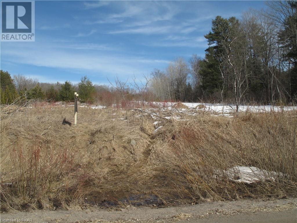 Listing 40350194 - Large Photo # 2