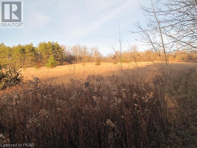 Listing 40350194 - Large Photo # 7