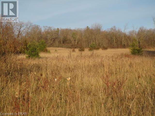 Listing 40350194 - Large Photo # 5